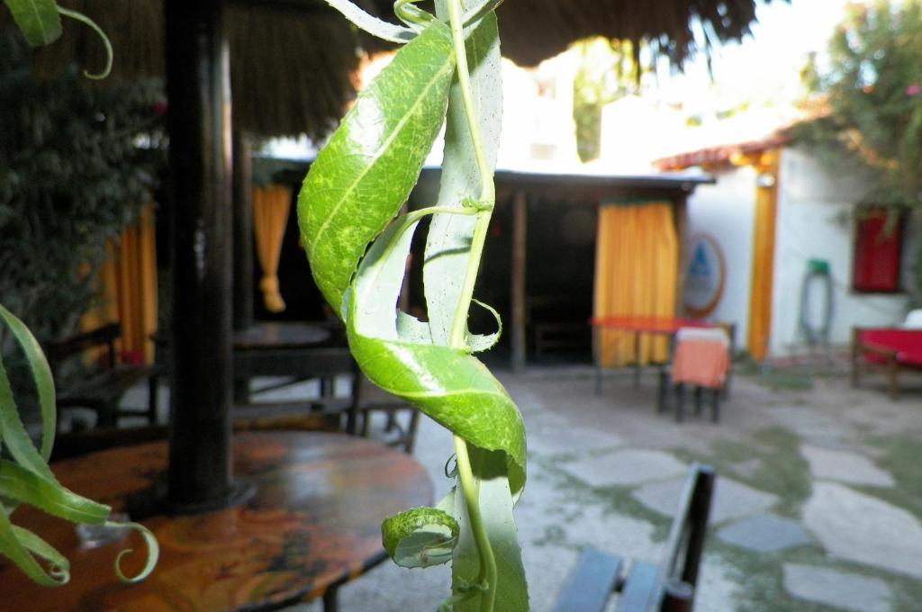 Hostel Mendoza Inn 外观 照片